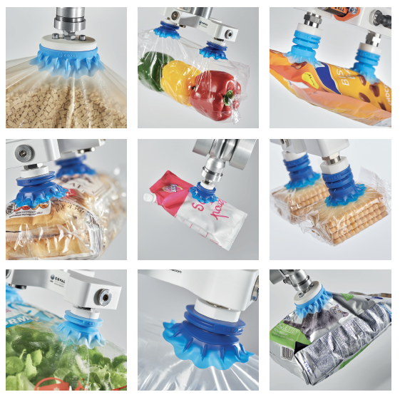 Screenshot 2026-01-22 at 55251 PM - RAM Solutions coval vaccuum cups