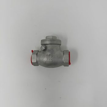 3/4" swing check valve