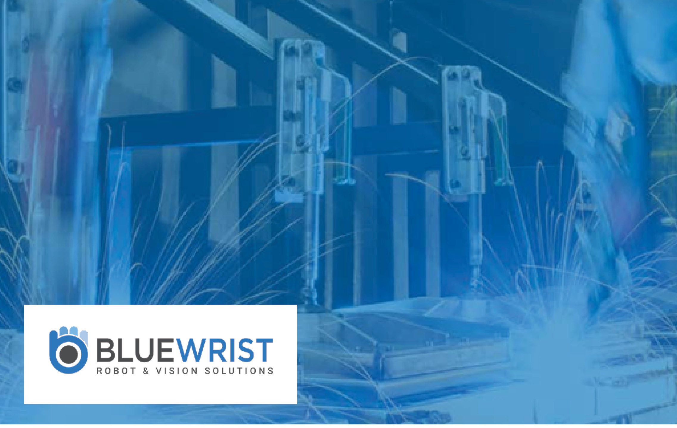 bluewrist weld inspection
